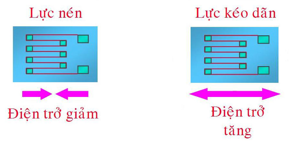 2 - Loadcell - Cảm biến lực được ứng dụng trong nhiều lĩnh vực khác nhau