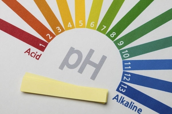 do ph bao nhieu la tot cho ca cach tang giam do ph cho ho ca 2 - Máy đo pH nước là gì? loại máy đo pH của hãng nào tốt nhất hiện nay?
