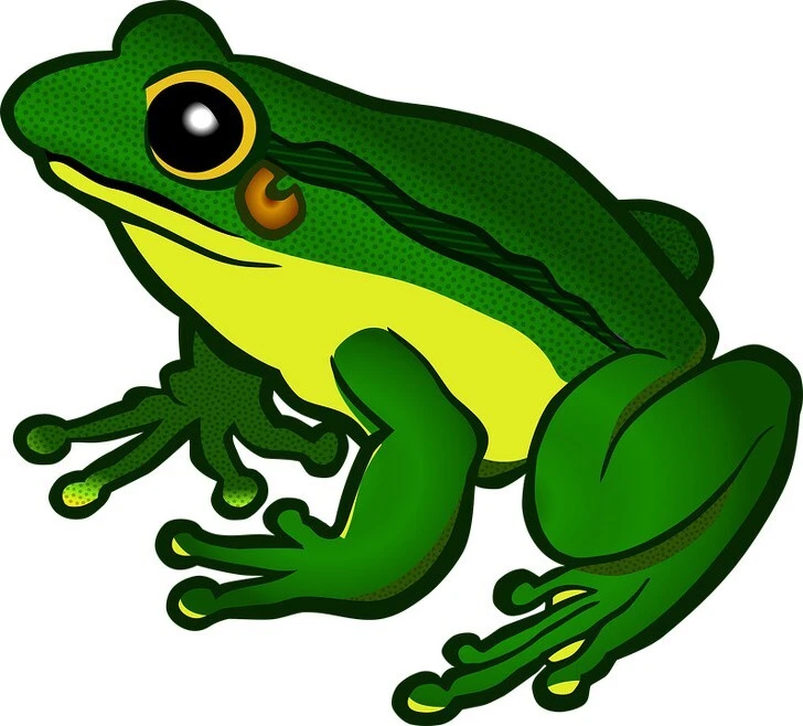 con vật ếch