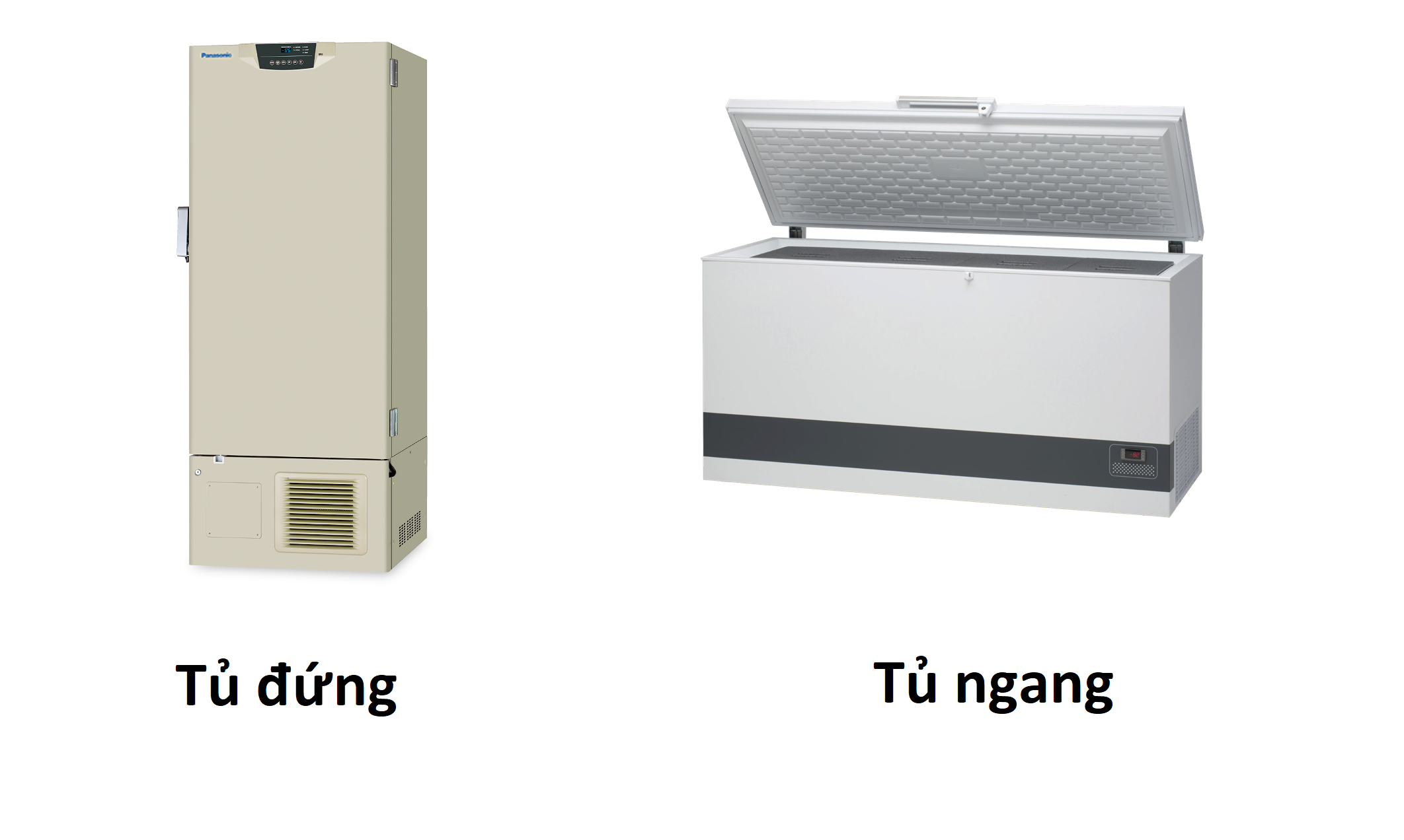 phân loại tủ lạnh âm sâu