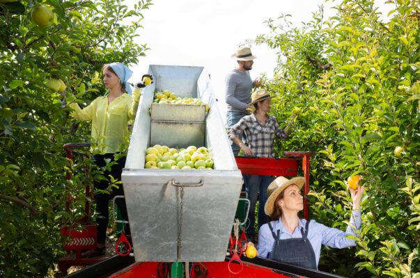 Những ứng dụng chính của máy bay không người lái tự hành 2 Những ứng dụng chính của máy bay không người lái tự hành 2