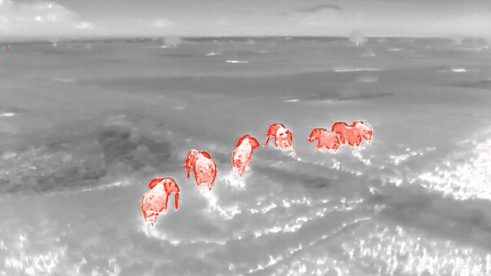 Giám sát rừng bằng Drone 2 Giám sát rừng bằng Drone 2